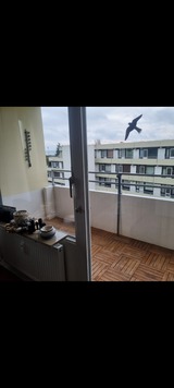 Ferienwohnung in Gro&szlig;enbrode - Vierjahreszeiten - Bild 9