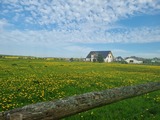 Ferienwohnung in Nisdorf - Ferienwohnung am Bodden - Bild 11