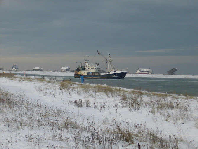 Ferienwohnung in Heiligenhafen - Fewo beim Leuchtturm - Bild 15