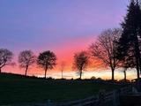 Ferienwohnung in Ascheffel - Wilsterberg FeWo "die Kleine" - Bild 18