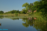 Ferienwohnung in Holtsee - Ohm - Bild 16