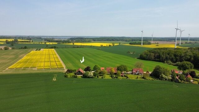 Ferienwohnung in Holtsee - Landhaus mit Weitblick - Bild 12