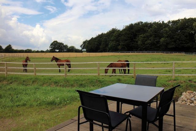 Ferienwohnung in Friedensthal - Kamaahr - Bild 12