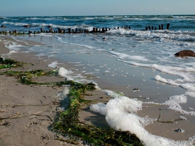 Ferienwohnung in Fehmarn OT Burgtiefe - Ferienwohnung Trumann Nr. 1 "Seeschwalbe" - Bild 17