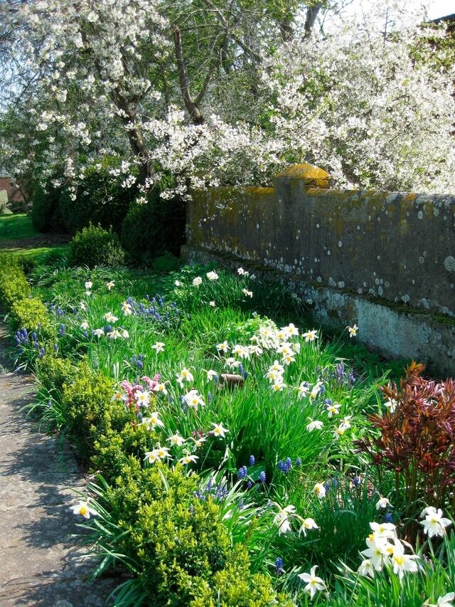 Ferienwohnung in Fehmarn OT Hinrichsdorf - Mohnblume Nr.2 - Bild 12