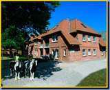 Ferienwohnung in Fehmarn OT Presen - "Ferienhof Rießen" Utspan Nr. 65 - Bild 1