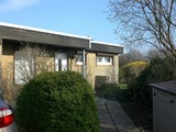 Ferienhaus in Fehmarn OT Marienleuchte - Haus für alle Felle - Bild 4