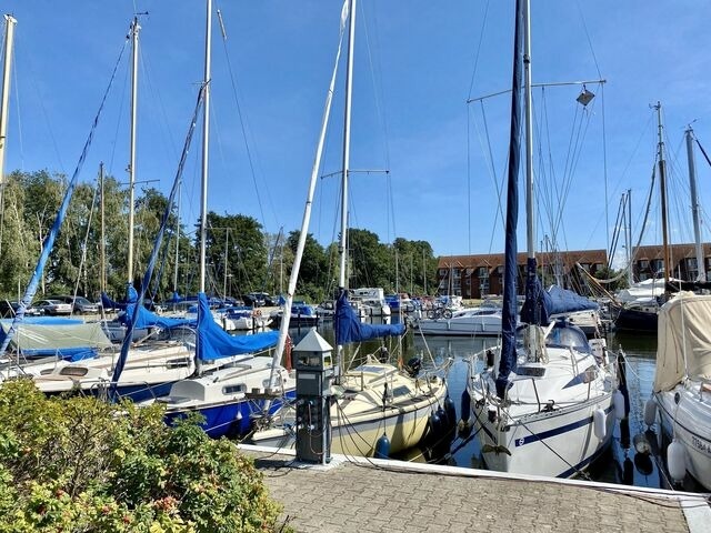 Ferienwohnung in Ueckermünde - Lagunenstadt am Haff Fewo 166 - Nautilus - Bild 11