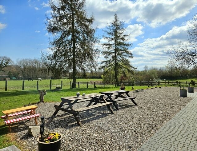 Ferienwohnung in Gr&ouml;mitz - "Pappelhof - Whg. 2" - Bild 17