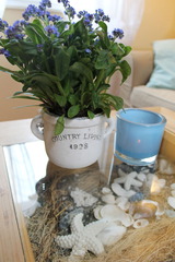 Ferienwohnung in Gr&ouml;mitz - "Bungalow Schlippes" - gem&uuml;tliches Feriennest mit Terrasse f&uuml;r Zwei - Bild 3