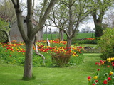 Ferienhaus in Fehmarn OT Ostermarkelsdorf - "L&uuml;tt Huus" - Bild 10