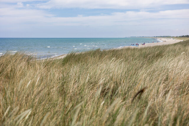 Ferienwohnung in Dierhagen - DER STÖRTEBEKER - "Apartment Born" | Apartments hinter den Dünen - Bild 16