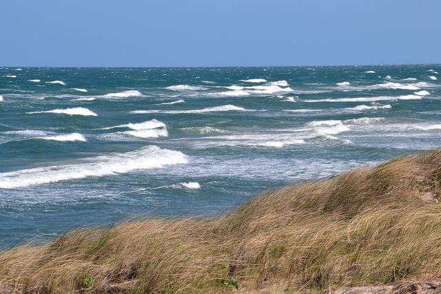 Ferienwohnung in Dierhagen - -"Ferienwohnung Dierhagen" Whg. 2 im OG- - Bild 22