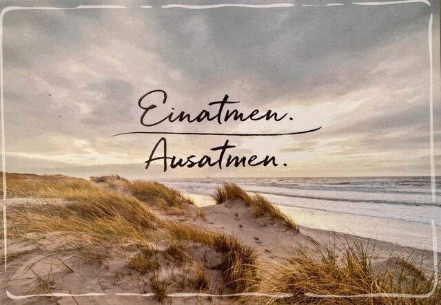 Ferienhaus in Ostseeheilbad Zingst - Ferienhaus Mein Panama - Bild 18