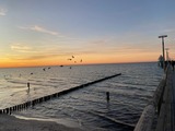 Ferienhaus in Ostseeheilbad Zingst - Ferienhaus Mein Panama - Bild 19