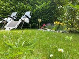 Ferienwohnung in Zingst - Villa Carpe Diem,Whg. 1 - Bild 16