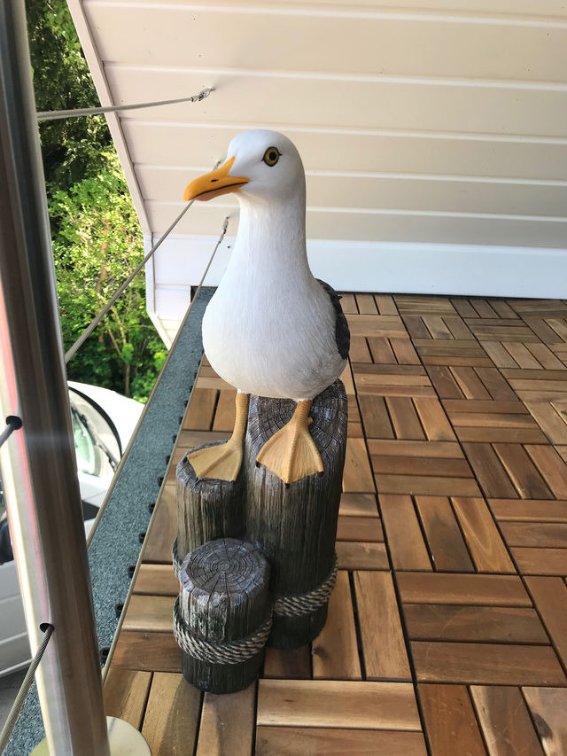 Ferienwohnung in Zingst - Brückendeck App. 3 - Bild 18