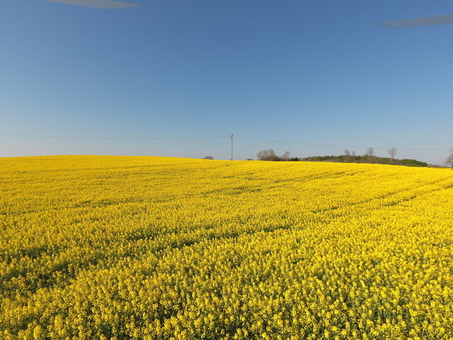 Ferienwohnung in Rabenkirchen-Faulück - Appartement Schleipanorama - Bild 11 Ferienwohnung in Rabenkirchen-Faulück - Appartement Schleipanorama - Bild 11