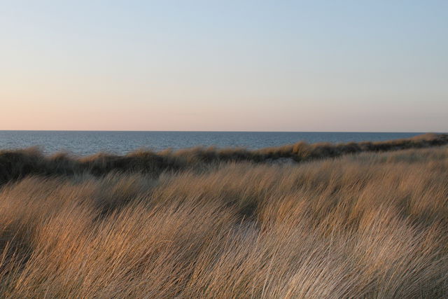 Ferienhaus in Dierhagen - -"Strandhaus Friedrich"- - Bild 16