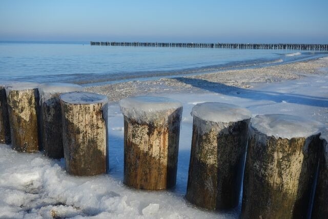 Ferienwohnung in Zingst - Whg. 03 - Keekwind - Bild 10