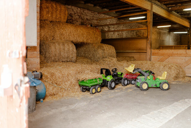 Ferienwohnung in Fehmarn OT Staberdorf - Achter de H&ouml;f Whg. 1 - Bild 24