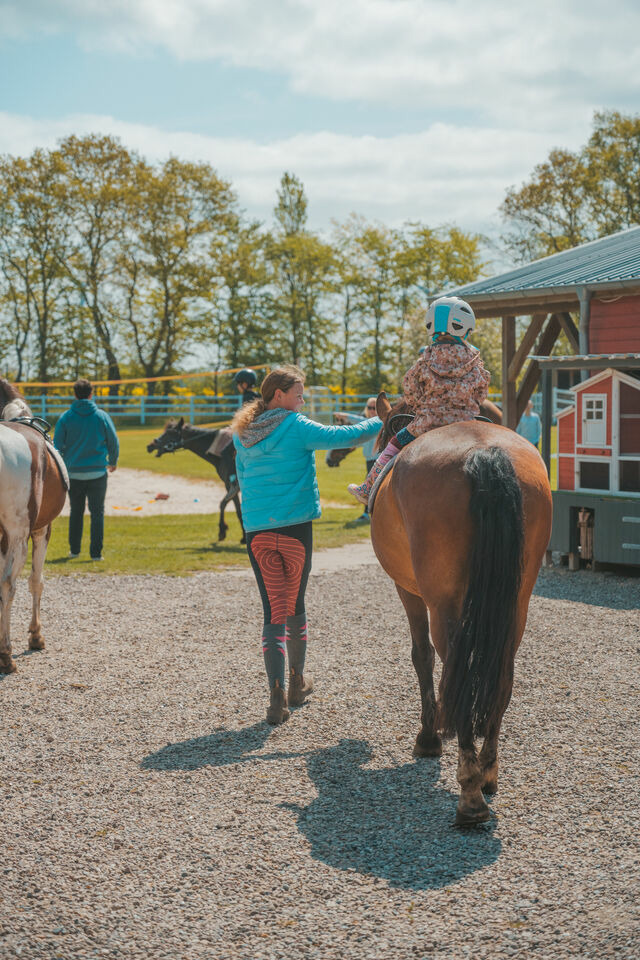 Ferienwohnung in Fehmarn OT Westermarkelsdorf - Vento - Bild 17