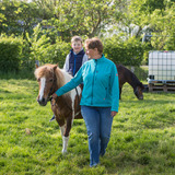 Ferienwohnung in Fehmarn OT Wenkendorf - Ferienhof Marquardt Fewo G&auml;nsebl&uuml;mchen - Bild 16