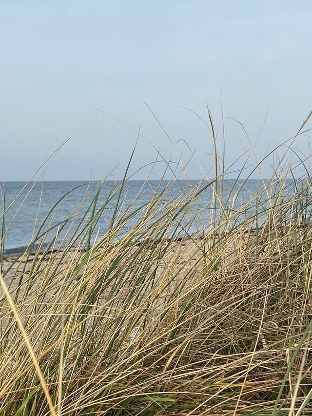 Ferienhaus in Fehmarn - Ferienhaus 1 - Bild 4