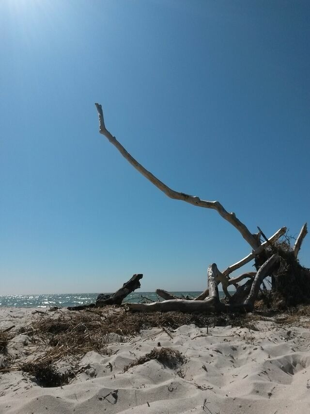 Ferienwohnung in Prerow - FeWo Leuchtturm - Heuser Prerow - Bild 16