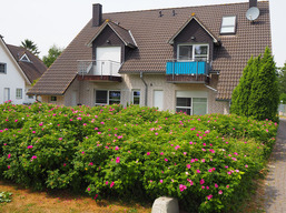 Kranichinsel