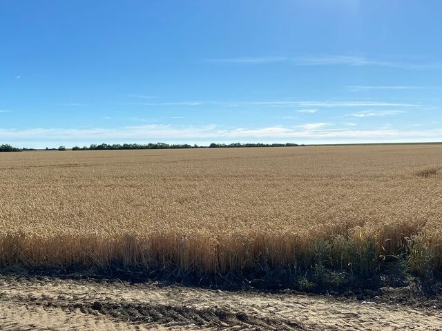 Ferienhaus in Fehmarn - Ferienhaus Sundowner (FH6) - Bild 18