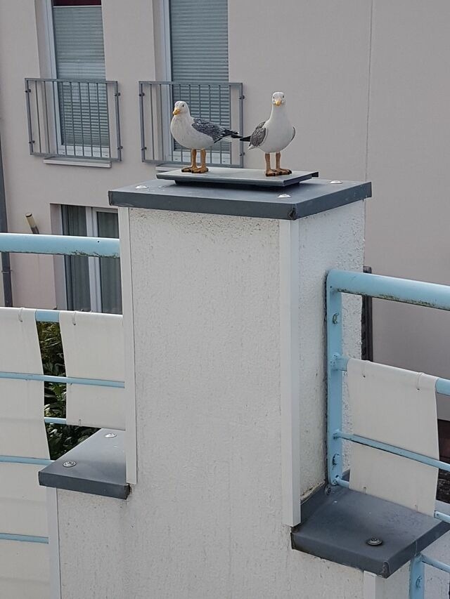 Ferienwohnung in Gr&ouml;mitz - Gr&uuml;ntal 4, Whg. 5 - Bild 14