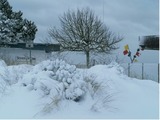 Ferienwohnung in Dahme - Pl&ouml;n Lars - Fewo 2 - Bild 25
