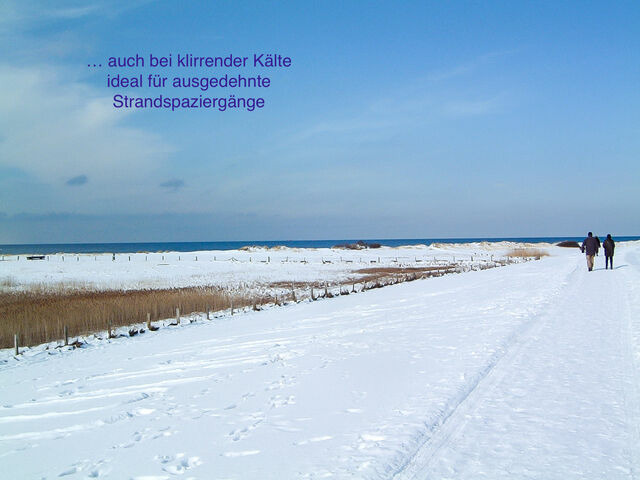 Ferienwohnung in Wendtorf - Whg. Silberm&ouml;we - Haus Nordlichter - Bild 25