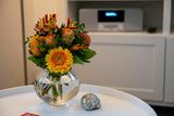 Ferienwohnung in Zingst - Möövkieker - Whg. 3 - Bild 5