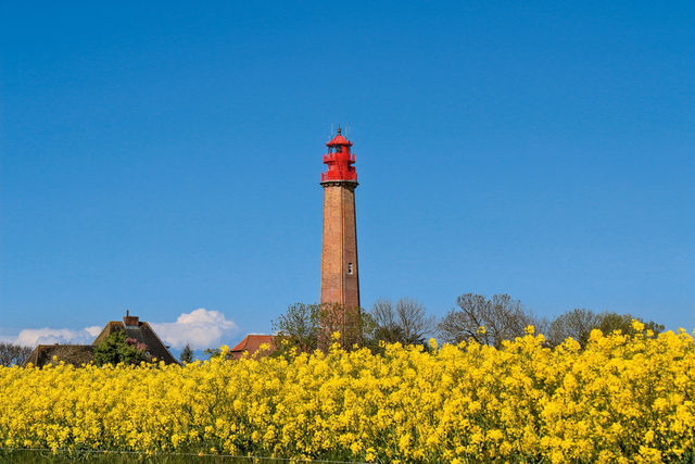 Ferienwohnung in Fehmarn OT Klausdorf - Landgl&uuml;ck - Bild 12