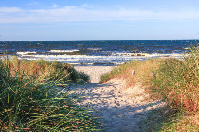 Ferienwohnung in Fehmarn OT Klausdorf - Landgl&uuml;ck - Bild 13
