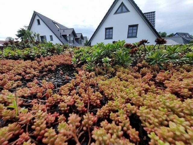 Ferienhaus in Ostseeheilbad Zingst - Haus Traumf&auml;nger III - Bild 8
