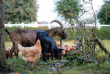Ferienwohnung in Klaustorf - Ostseeblick (Whg. 6) - Bild 11