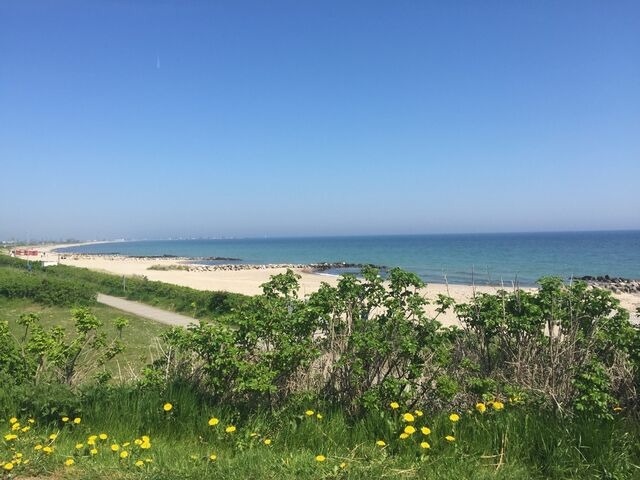 Ferienhaus in Brodersby - Poolhaus Ostsee - Bild 24 Ferienhaus in Brodersby - Poolhaus Ostsee - Bild 24