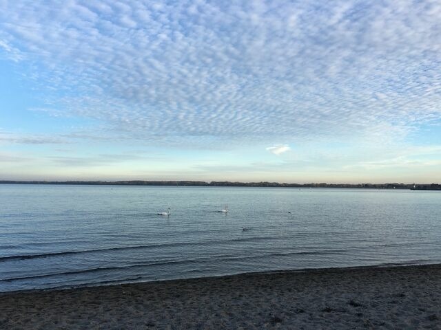 Ferienwohnung in Travemünde - Strandappartment Meerkieker - Bild 24