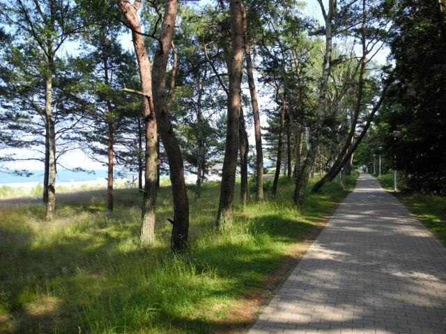 Ferienwohnung in Baabe - Strandvilla Baabe 1 - Bild 17