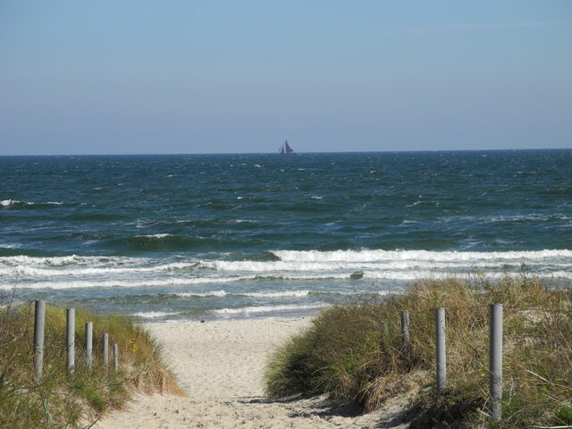 Ferienwohnung in Baabe - Strandvilla Baabe 1 - Bild 19