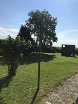Ferienwohnung in Fehmarn OT Wulfen - Golfhüs Simone, Ferienwohnung-Südbalkon - Bild 17