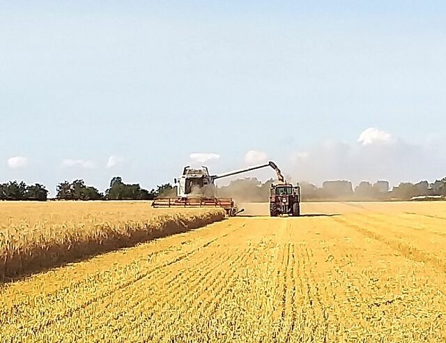 Ferienwohnung in Fehmarn OT Neujellingsdorf - Bauernhof H&ouml;per-Rauert - Reihenhaus 4 - Bild 20