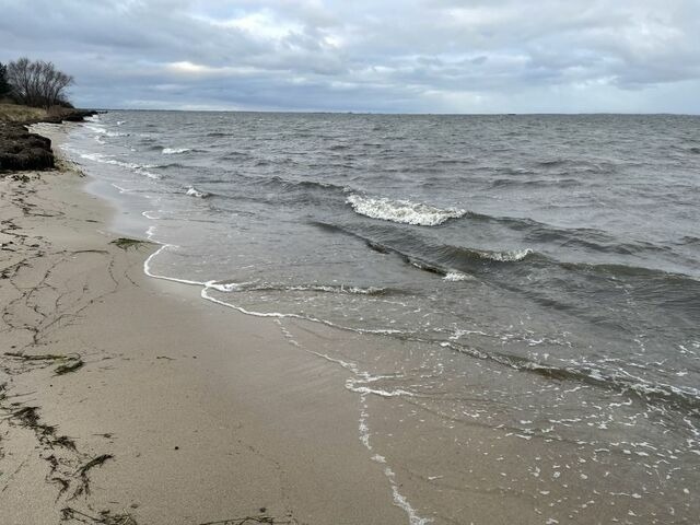 Ferienwohnung in Gahlkow - Strandperle 1 - Bild 3