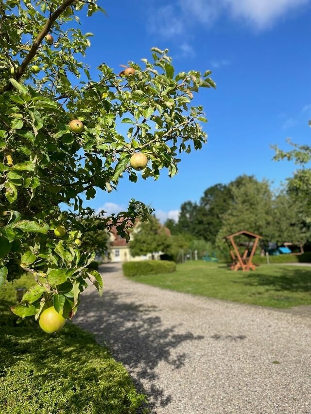 Ferienwohnung in Fehmarn OT Wulfen - Max Bienenwachs - Bild 22