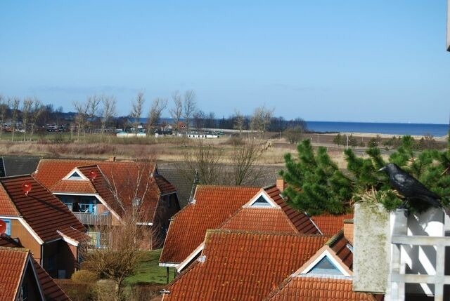 Ferienwohnung in Dahme - FeWo Br&auml;uer - Bild 19