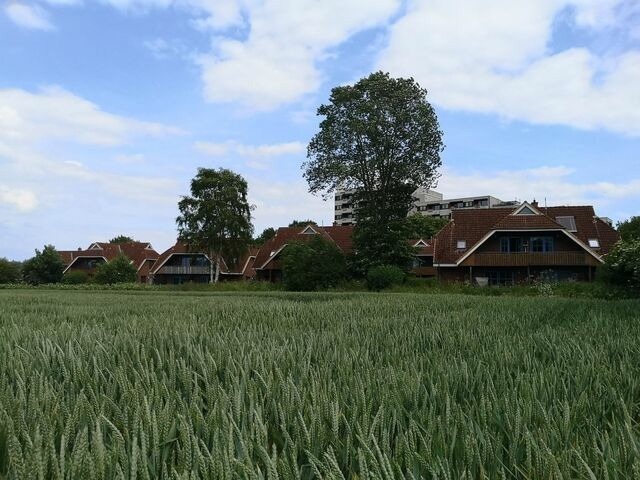 Ferienwohnung in Dahme - Jacobihof Haus 9 Wohnung 02 - Bild 10