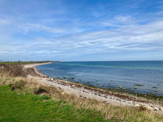 Ferienwohnung in Fehmarn OT Wenkendorf - Ferienwohnung Kaufhold - Bild 15